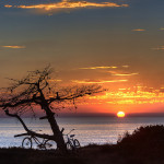 5 of the Best Places to Eat in Carlsbad
